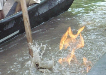 Demonstration du methane